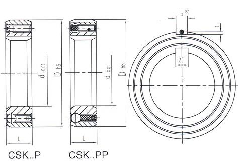  CSK..P,CSK..PP