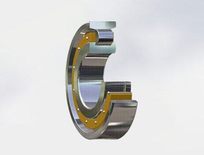 ԲСN10ϵ